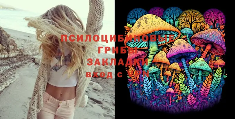 Псилоцибиновые грибы Magic Shrooms Карачаевск